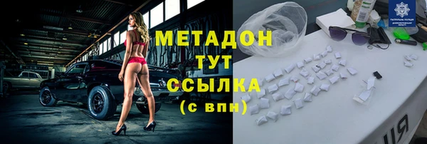 индика Кинешма