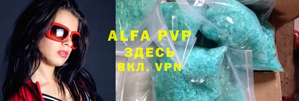 индика Кинешма
