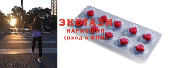 индика Кинешма