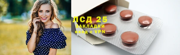 индика Кинешма