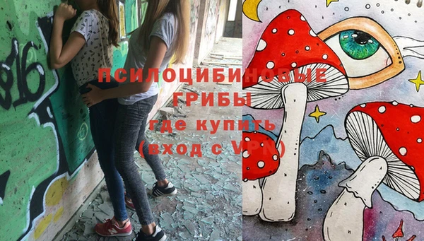 индика Кинешма