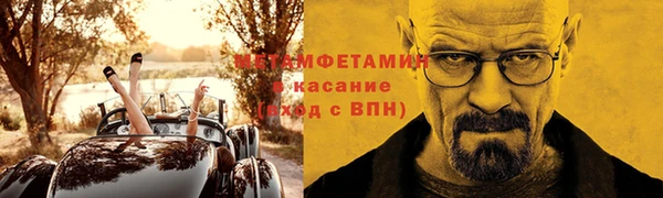 индика Кинешма