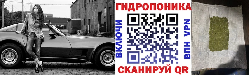как найти   Бирюч  Бошки Шишки семена 